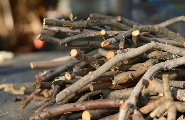 Dried Sticks